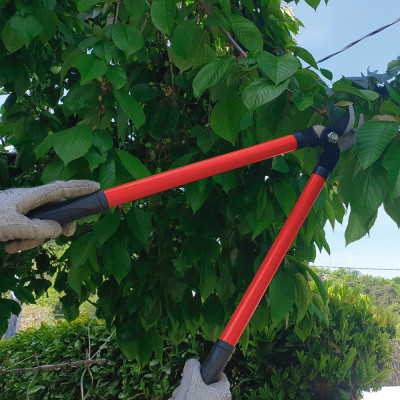 MERMIER Ebrancheur 55cm