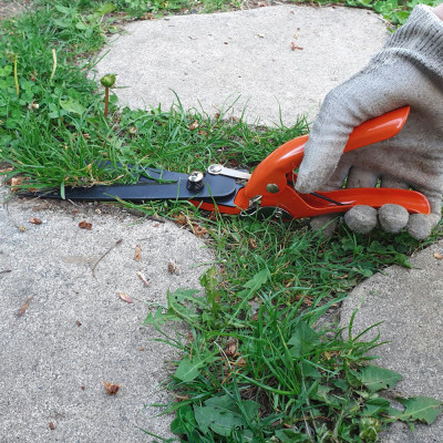 copy of copy of copy of copy of copy of copy of copy of copy of copy of copy of copy of copy of copy of copy of copy of copy of