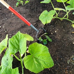 Grattoir de jardin Grattoir de jardin